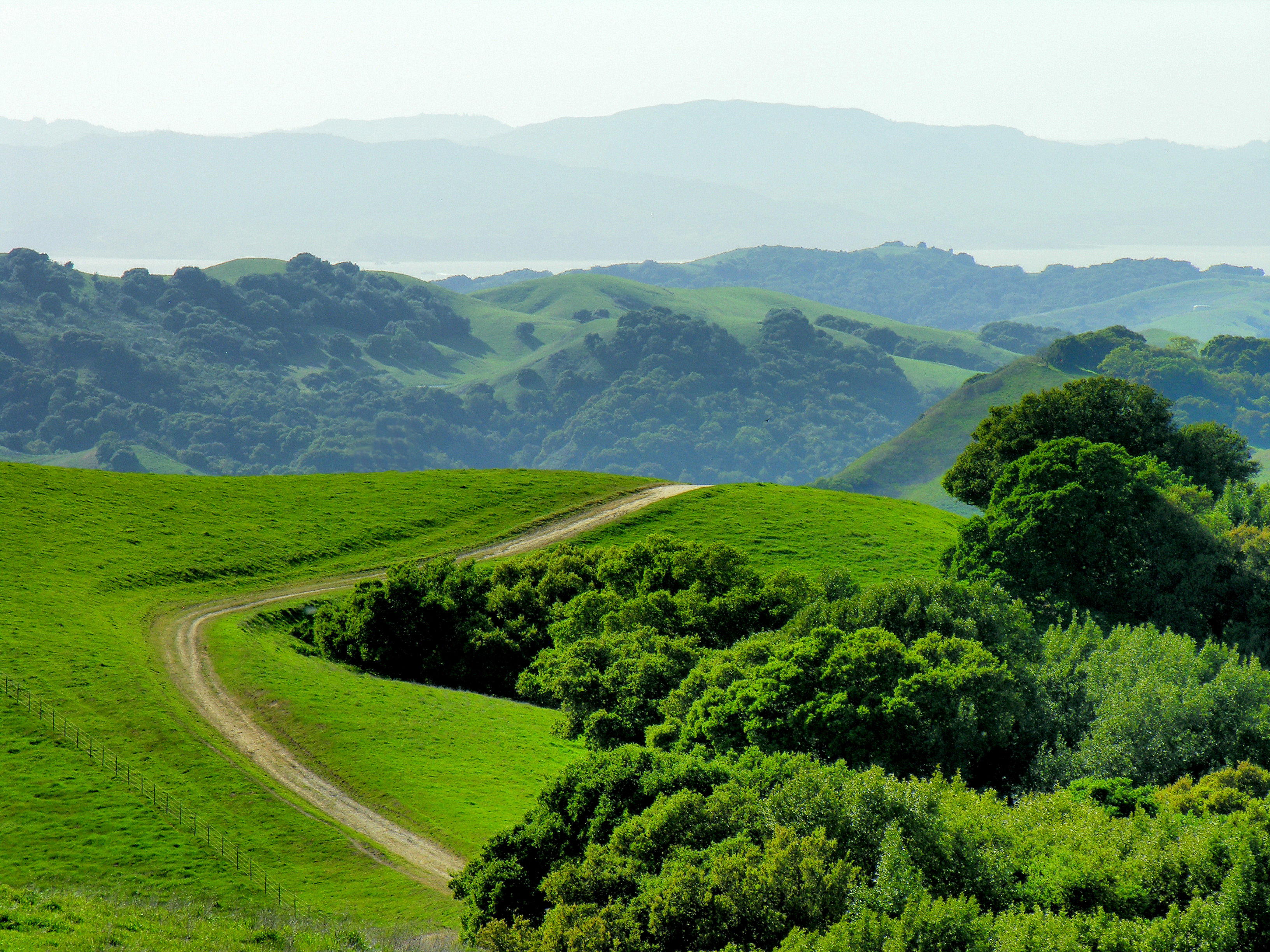 Briones Regional Park | East Bay Parks